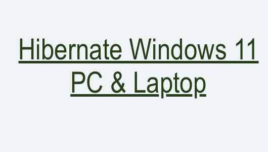 Hibernate Windows 11 PC & Laptop